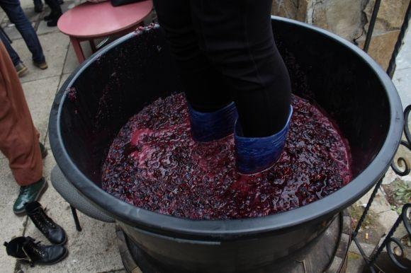 Як на фесті-пікніку «Громадська кухня» ногами чавили 50 кілограм винограду на сайті 20minut.ua Як на фесті-пікніку «Громадська кухня» ногами чавили 50 кілограм винограду, фото №10 на сайті 20minut.ua