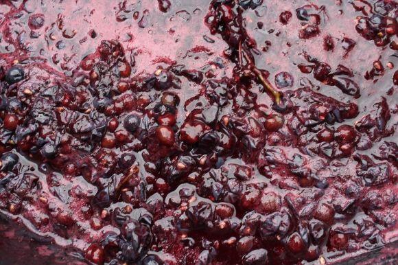 Як на фесті-пікніку «Громадська кухня» ногами чавили 50 кілограм винограду на сайті 20minut.ua Як на фесті-пікніку «Громадська кухня» ногами чавили 50 кілограм винограду, фото №9 на сайті 20minut.ua