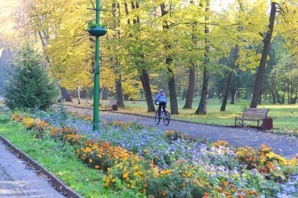 "Бабине літо" у Хмельницькому. Кілька яскравих фото для гарного настрою, фото №20 на сайті vsim.ua