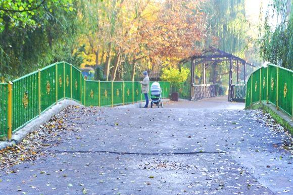 "Бабине літо" у Хмельницькому. Кілька яскравих фото для гарного настрою, фото №15 на сайті vsim.ua