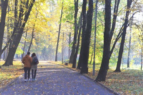 "Бабине літо" у Хмельницькому. Кілька яскравих фото для гарного настрою, фото №19 на сайті vsim.ua