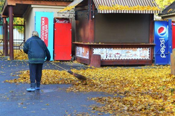 "Бабине літо" у Хмельницькому. Кілька яскравих фото для гарного настрою, фото №16 на сайті vsim.ua
