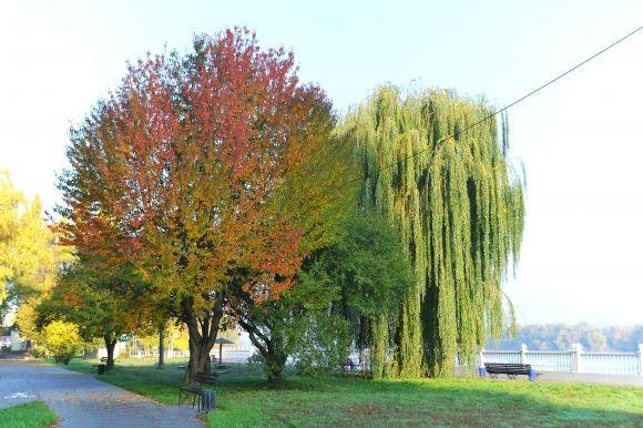 "Бабине літо" у Хмельницькому. Кілька яскравих фото для гарного настрою, фото №8 на сайті vsim.ua