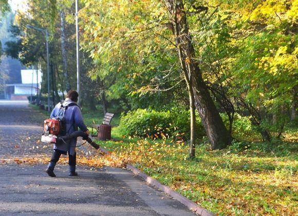 "Бабине літо" у Хмельницькому. Кілька яскравих фото для гарного настрою, фото №21 на сайті vsim.ua