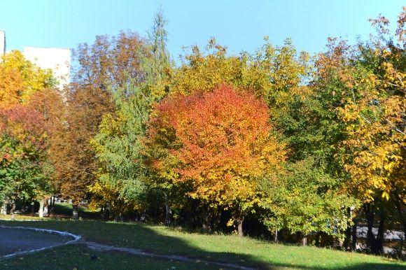 "Бабине літо" у Хмельницькому. Кілька яскравих фото для гарного настрою, фото №23 на сайті vsim.ua