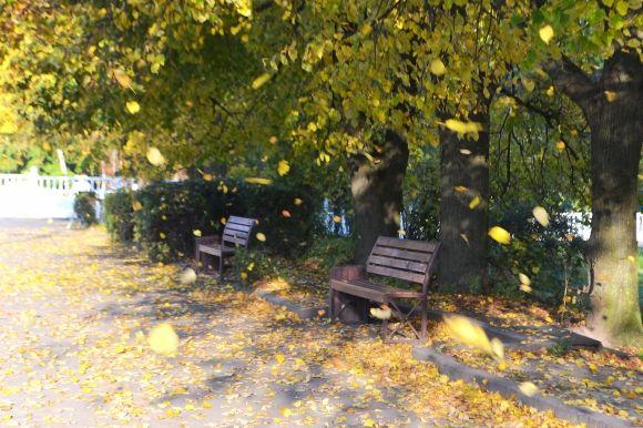 "Бабине літо" у Хмельницькому. Кілька яскравих фото для гарного настрою, фото №6 на сайті vsim.ua