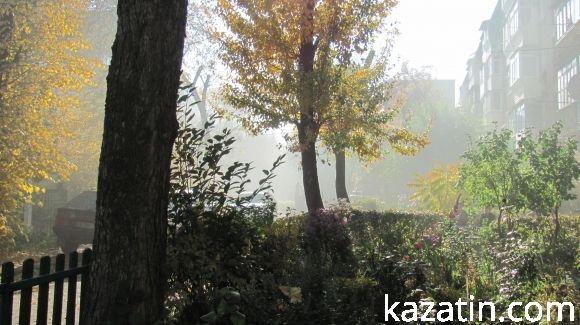 Чарівна осінь ховає негаразди козятинських вулиць, фото №28 на сайті 20minut.ua