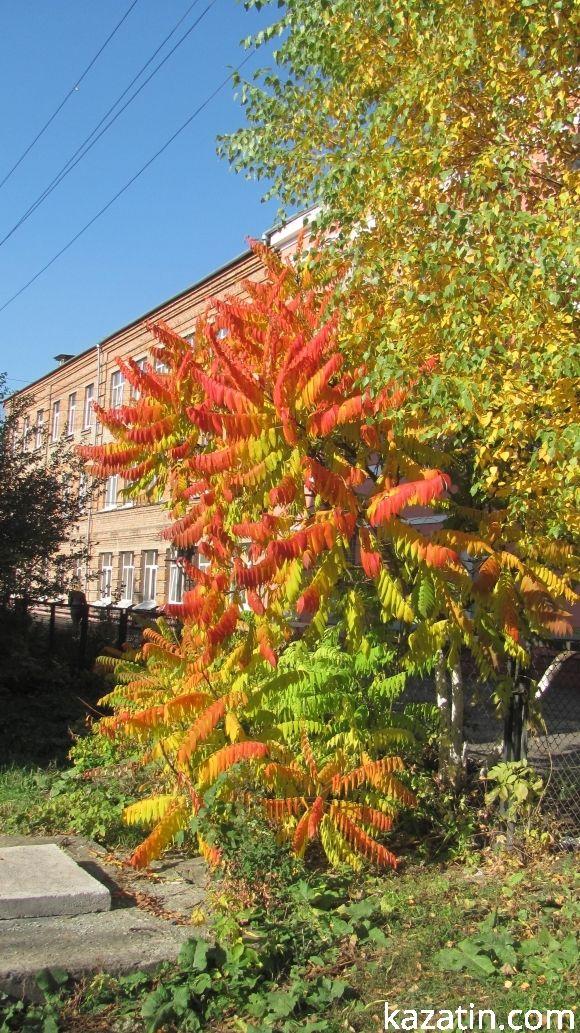 Чарівна осінь ховає негаразди козятинських вулиць, фото №18 на сайті 20minut.ua