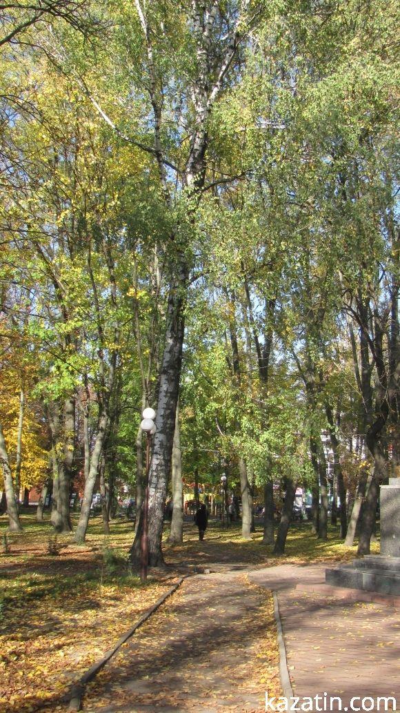 Чарівна осінь ховає негаразди козятинських вулиць, фото №5 на сайті 20minut.ua