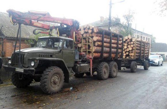У Радомишлі затримали вантажівку з лісом без відповідних документів на сайті 20minut.ua У Радомишлі затримали вантажівку з лісом без відповідних документів, фото №1 на сайті 20minut.ua