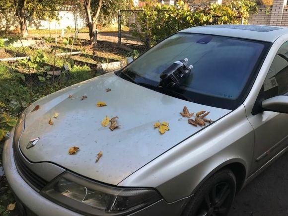 На капоті "Renault" вінницького журналіста залишили вибуховий подарунок на сайті 20minut.ua На капоті "Renault" вінницького журналіста залишили вибуховий подарунок, фото №3 на сайті 20minut.ua