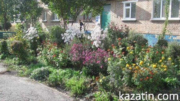 Чарівна осінь ховає негаразди козятинських вулиць, фото №23 на сайті 20minut.ua