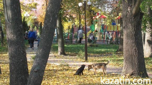 Чарівна осінь ховає негаразди козятинських вулиць, фото №8 на сайті 20minut.ua