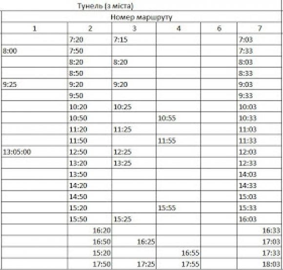 Новий розклад руху козятинських автобусів, фото №4 на сайті 20minut.ua