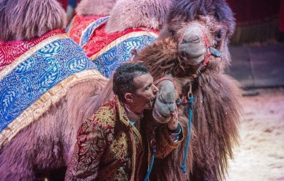 Куди піти у вихідні 21-22 жовтня. ВСІМ рекомендує, фото №8 на сайті vsim.ua