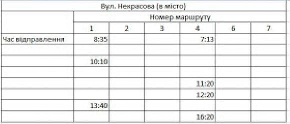 Новий розклад руху козятинських автобусів, фото №18 на сайті 20minut.ua