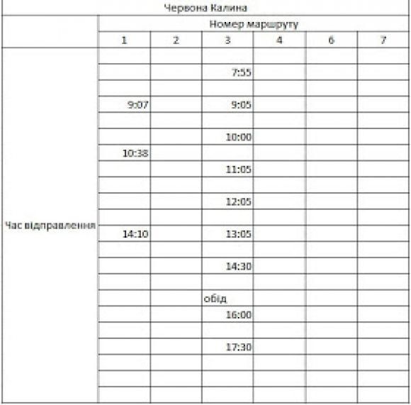 Новий розклад руху козятинських автобусів, фото №31 на сайті 20minut.ua