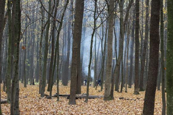 Які гриби є у Лісопарку? Грибники про особливості “тихого полювання” на сайті 20minut.ua Які гриби є у Лісопарку? Грибники про особливості “тихого полювання”, фото №23 на сайті 20minut.ua