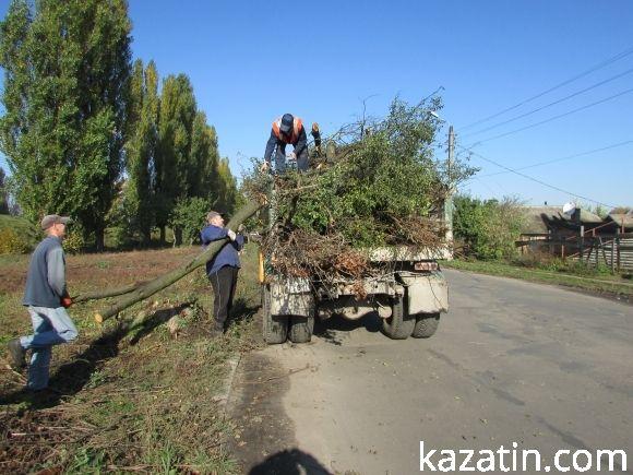 Вирубка живих дерев у місті продовждується на сайті 20minut.ua Вирубка живих дерев у місті продовждується, фото №1 на сайті 20minut.ua