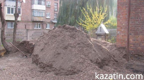 Громадський діяч Тетяна Єрмолаєва домагається припинення свавілля з боку мерії Козятина, фото №1 на сайті 20minut.ua