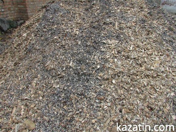 Громадський діяч Тетяна Єрмолаєва домагається припинення свавілля з боку мерії Козятина, фото №14 на сайті 20minut.ua