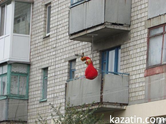 Початок останнього тижня місяця в Козятині на сайті 20minut.ua Початок останнього тижня місяця в Козятині, фото №9 на сайті 20minut.ua