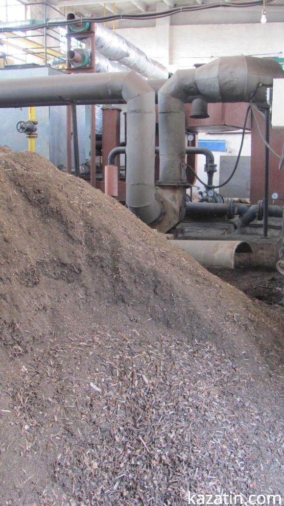 Громадський діяч Тетяна Єрмолаєва домагається припинення свавілля з боку мерії Козятина, фото №4 на сайті 20minut.ua