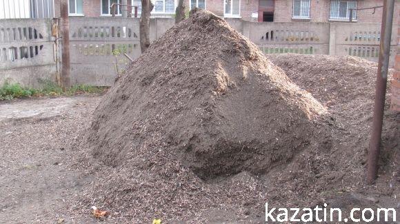 Громадський діяч Тетяна Єрмолаєва домагається припинення свавілля з боку мерії Козятина, фото №2 на сайті 20minut.ua