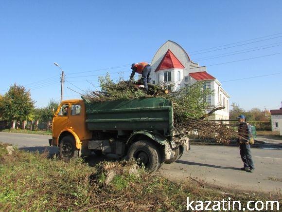Вирубка живих дерев у місті продовждується на сайті 20minut.ua Вирубка живих дерев у місті продовждується, фото №3 на сайті 20minut.ua