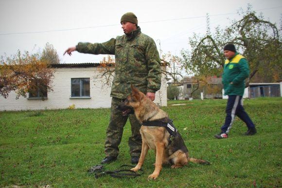 Професія: поліцейський собака. Як чотирилапі «копи» шукають зброю, злочинців та м’ячик, фото №7 на сайті 20minut.ua