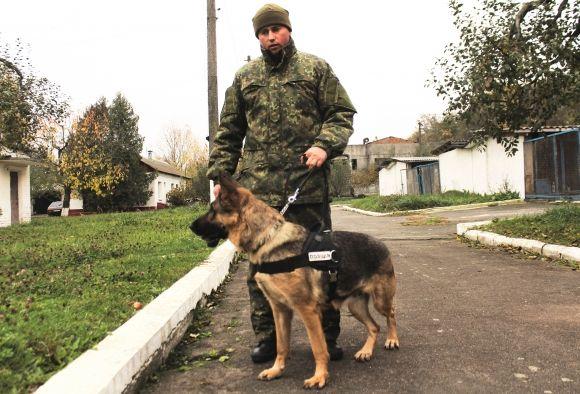 Професія: поліцейський собака. Як чотирилапі «копи» шукають зброю, злочинців та м’ячик, фото №1 на сайті 20minut.ua