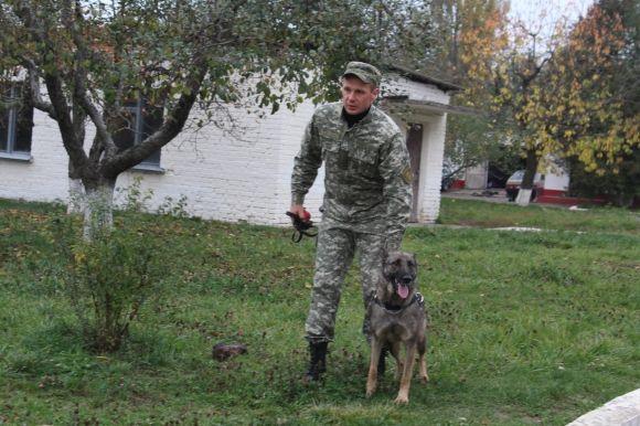 Професія: поліцейський собака. Як чотирилапі «копи» шукають зброю, злочинців та м’ячик, фото №12 на сайті 20minut.ua