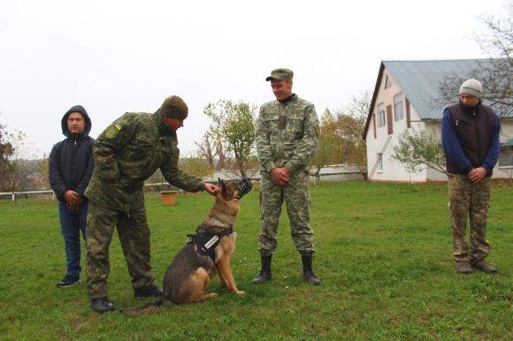 Професія: поліцейський собака. Як чотирилапі «копи» шукають зброю, злочинців та м’ячик, фото №8 на сайті 20minut.ua