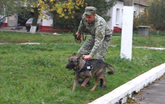 Професія: поліцейський собака. Як чотирилапі «копи» шукають зброю, злочинців та м’ячик, фото №11 на сайті 20minut.ua