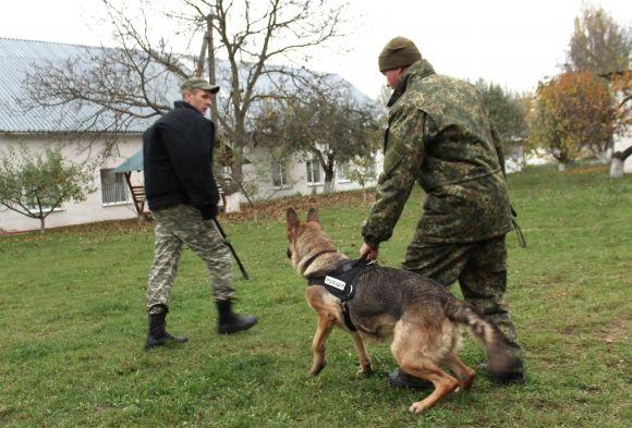 Професія: поліцейський собака. Як чотирилапі «копи» шукають зброю, злочинців та м’ячик, фото №10 на сайті 20minut.ua