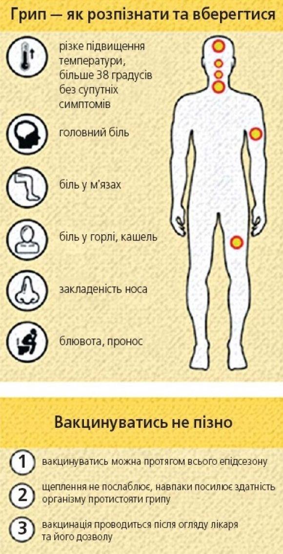 Якого грипу чекаємо і чи можна буде отримати щеплення за 50% вартості?, фото №2 на сайті 20minut.ua