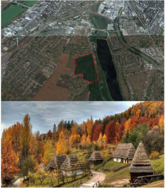 У влади просять про облаштування лісу в Дальніх Гречанах: пропонують музей під відкритим небом, фото №1 на сайті vsim.ua