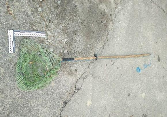 22-річний славутчанин за допомогою електровудки глушив рибу на річці Горинь на сайті vsim.ua 22-річний славутчанин за допомогою електровудки глушив рибу на річці Горинь, фото №2 на сайті vsim.ua