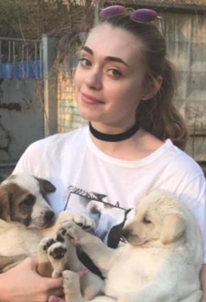 На котах і собаках зроблять мільярди? Закон про тварин прозвали маразмом року, фото №3 на сайті 20minut.ua