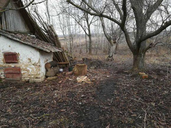 Новини Вінниці - фото з Рубав дрова і прорубав голову знайомому. Потерпілий у реанімації, злочинець в ізоляторі Рубав дрова і прорубав голову знайомому. Потерпілий у реанімації, злочинець в ізоляторі, фото №1 на сайті 20minut.ua