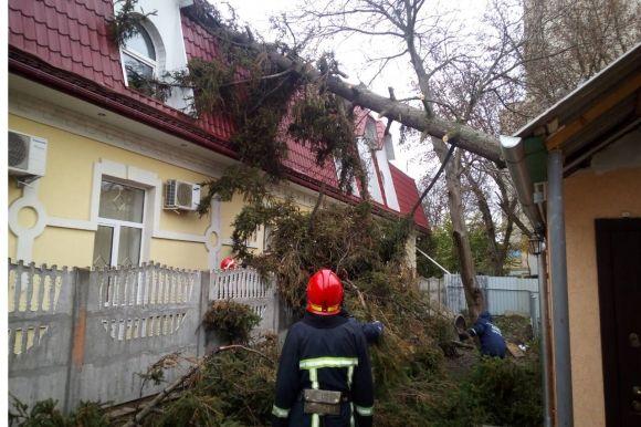 Новини Хмельницького - фото з Наслідки негоди у Хмельницькому: повалені дерева і зірваний дах Наслідки негоди у Хмельницькому: повалені дерева і зірваний дах, фото №2 на сайті vsim.ua