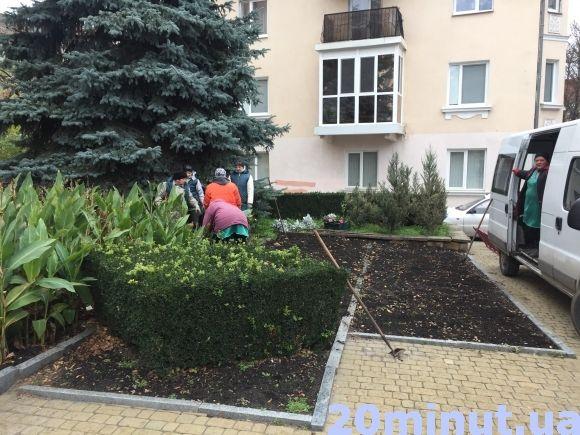 Фото дня: у Тернополі викорчовують рослини на зиму на сайті 20minut.ua Фото дня: у Тернополі викорчовують рослини на зиму, фото №2 на сайті 20minut.ua