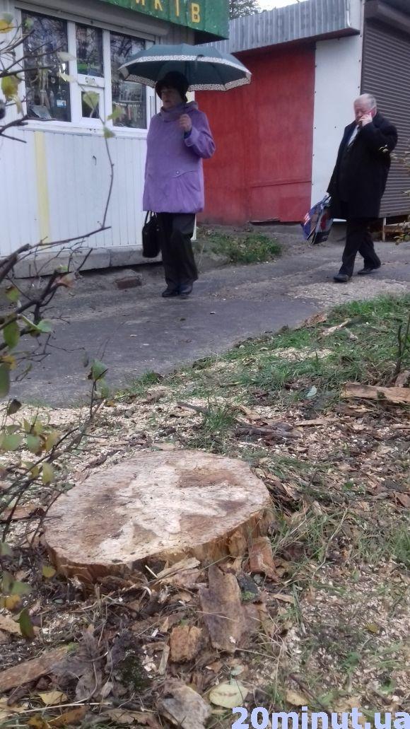 Зрізали аварійне дерево на Злуки, яке могло травмувати перехожих на сайті 20minut.ua Зрізали аварійне дерево на Злуки, яке могло травмувати перехожих, фото №1 на сайті 20minut.ua