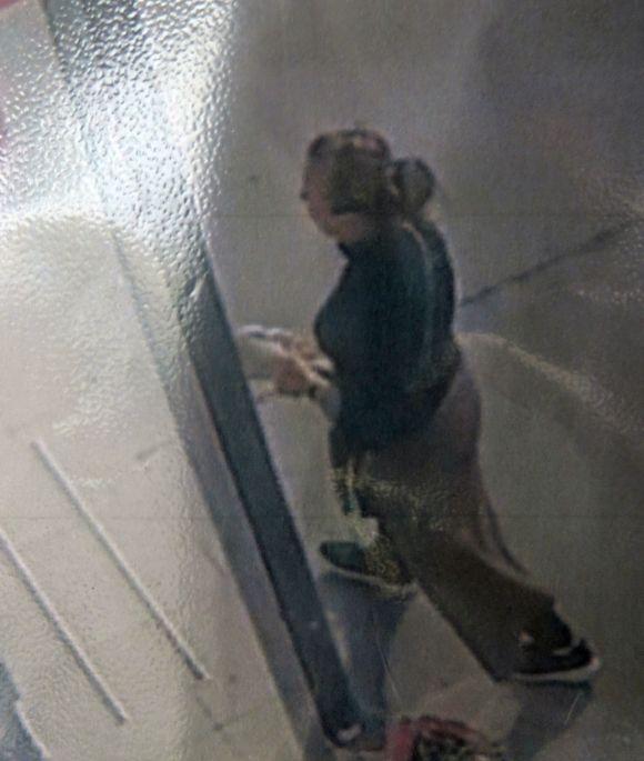 Новини Хмельницького - фото з Вбивство жінки на Інститутській: поліція оприлюднила фото і опис підозрюваної Вбивство жінки на Інститутській: поліція оприлюднила фото і опис підозрюваної, фото №3 на сайті vsim.ua