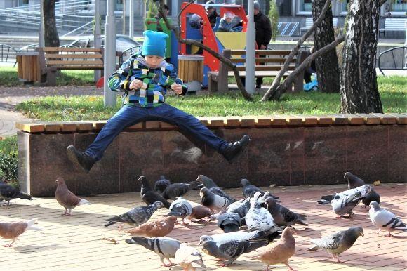 Золота осінь у Вінниці. Проспект Космонавтів заполонили люди на сайті 20minut.ua Золота осінь у Вінниці. Проспект Космонавтів заполонили люди, фото №7 на сайті 20minut.ua