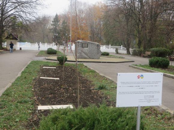 У парку Чекмана висадили 19 сакур, які подарувало посольство Японії на сайті vsim.ua У парку Чекмана висадили 19 сакур, які подарувало посольство Японії, фото №2 на сайті vsim.ua
