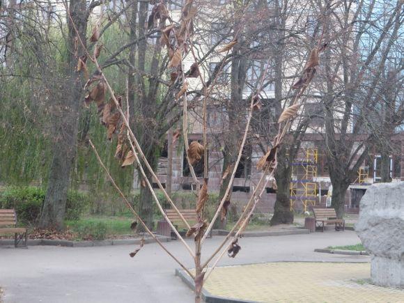 У парку Чекмана висадили 19 сакур, які подарувало посольство Японії на сайті vsim.ua У парку Чекмана висадили 19 сакур, які подарувало посольство Японії, фото №4 на сайті vsim.ua