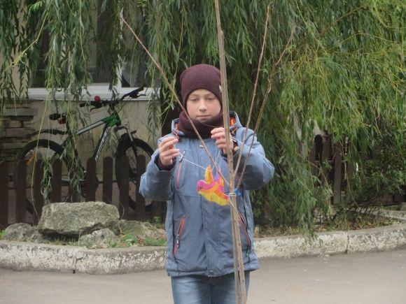 У парку Чекмана висадили 19 сакур, які подарувало посольство Японії на сайті vsim.ua У парку Чекмана висадили 19 сакур, які подарувало посольство Японії, фото №6 на сайті vsim.ua