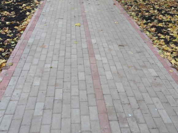 На новій велодоріжці у парку Чекмана вже катаються хмельничани (ФОТО) на сайті vsim.ua На новій велодоріжці у парку Чекмана вже катаються хмельничани (ФОТО), фото №4 на сайті vsim.ua