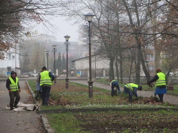 Магнолії, сосни, барбарис: парк Чекмана озеленять за 160 тисяч на сайті vsim.ua Магнолії, сосни, барбарис: парк Чекмана озеленять за 160 тисяч, фото №8 на сайті vsim.ua